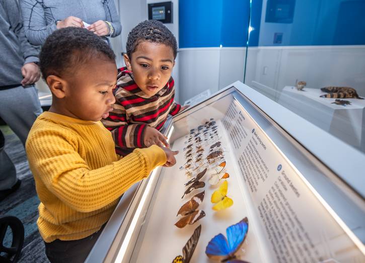 Celebrating Martin Luther King Jr. at the Cleveland Museum Natural History.
